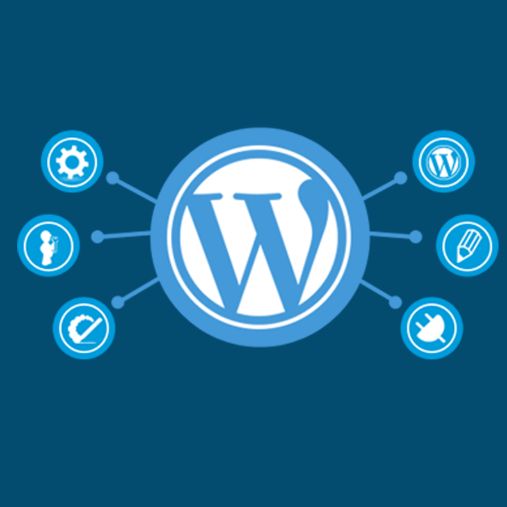 wordpress intershipin ahmedabad