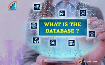 WHAT IS THE DATABASE ?