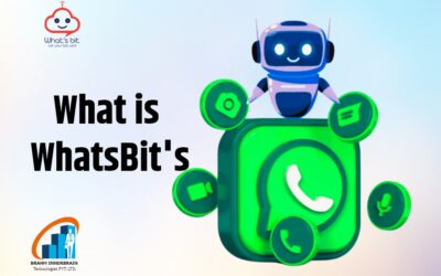 What is WhatsBit’s Role?