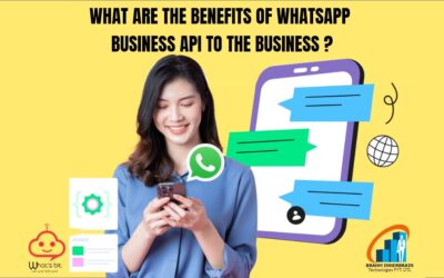 What are the benefits of WhatsApp Business API to the business