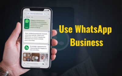What should you do to increase daily engagement and sales on your WhatsApp?