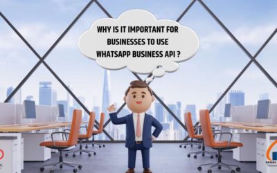Why is it important for businesses to use WhatsApp Business API