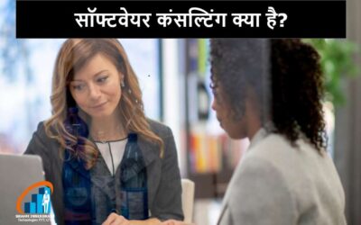 सॉफ्टवेयर कंसल्टिंग क्या है?